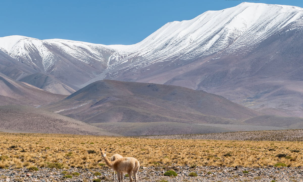 Nevado Laguna Blanca